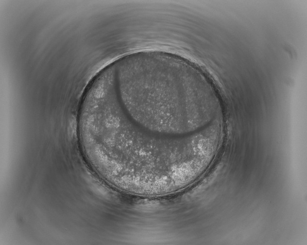 X0000112351505200909031838