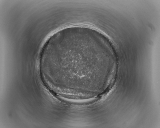 X0000112351506200909031838