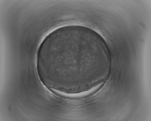 X0000112351508200909031838