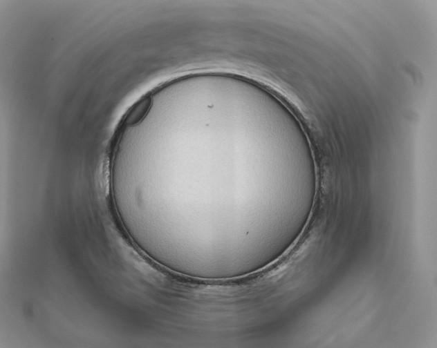 X0000112351510200909031838