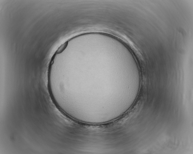 X0000112351512200909031838