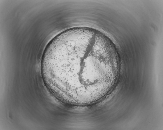 X0000112351513200909031838