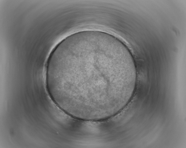 X0000112351514200909031838