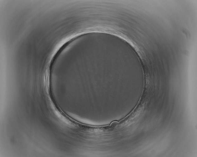 X0000112351515200909031838