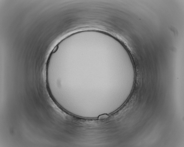 X0000112351516200909031838