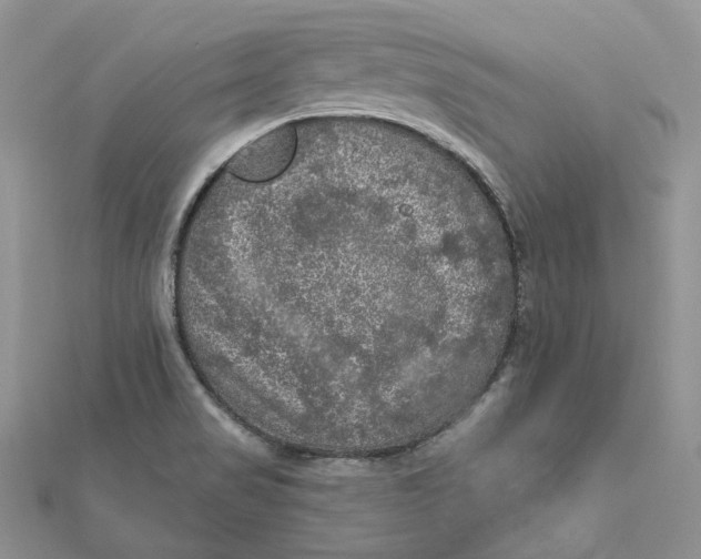 X0000112351517200909031838