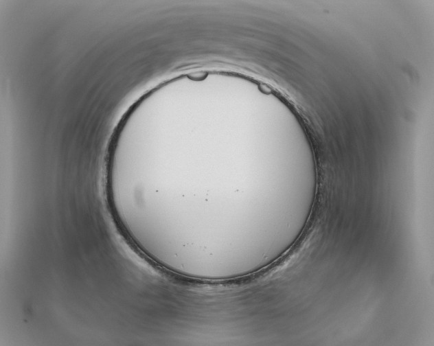 X0000112351518200909031838