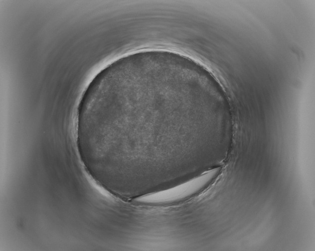 X0000112351519200909031838