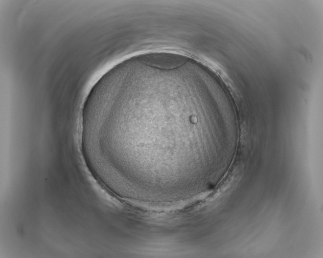 X0000112351520200909031838