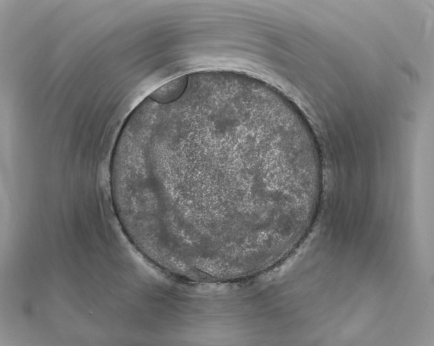 X0000112351521200909031838