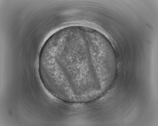 X0000112351523200909031838