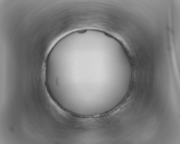 X0000112351524200909031838