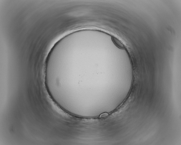 X0000112351526200909031838