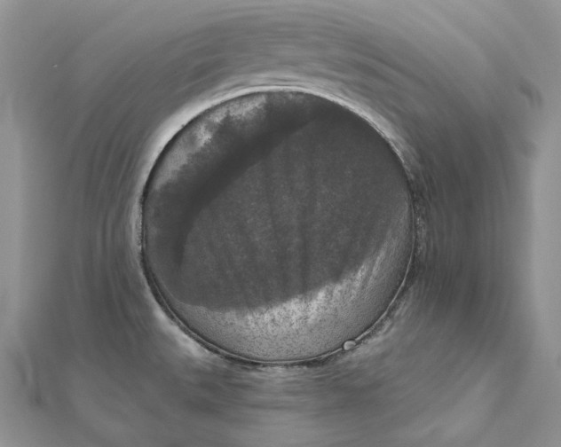 X0000112351527200909031838