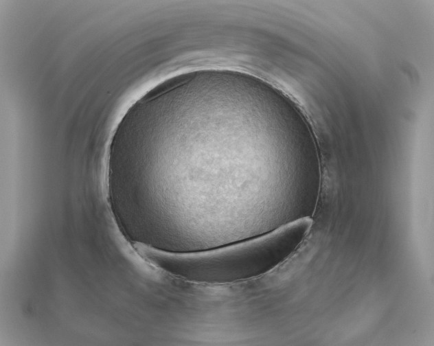 X0000112351528200909031838