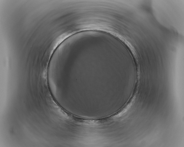 X0000112351529200909031838