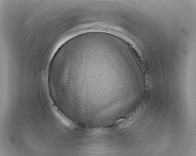 X0000112351530200909031838