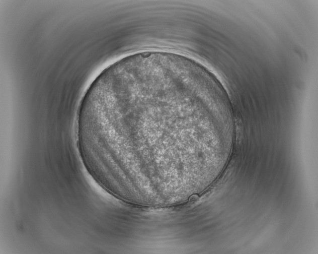 X0000112351531200909031838