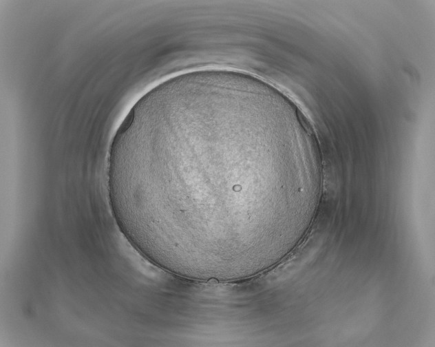 X0000112351532200909031838