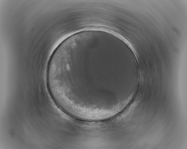 X0000112351533200909031838