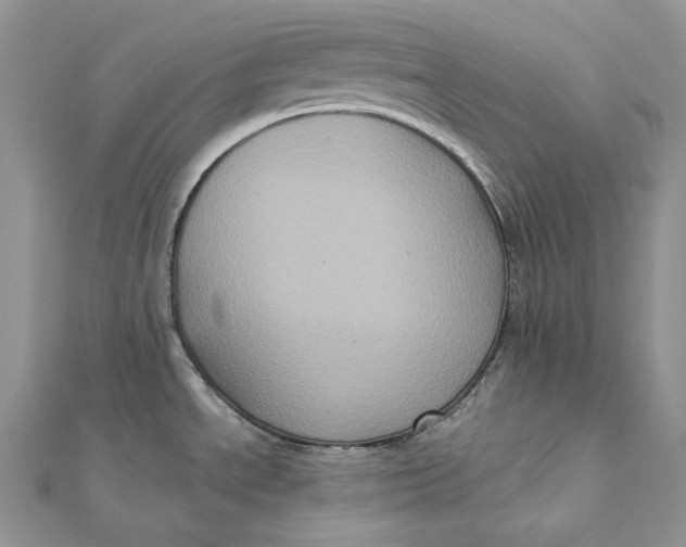 X0000112351534200909031838