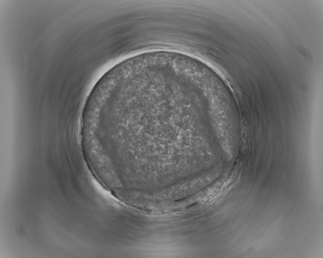 X0000112351535200909031838