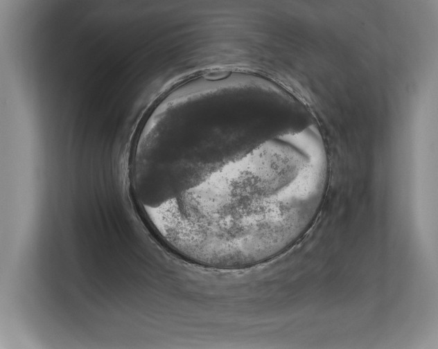 X0000112350002200909101052