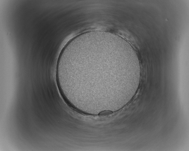 X0000112350003200909101052