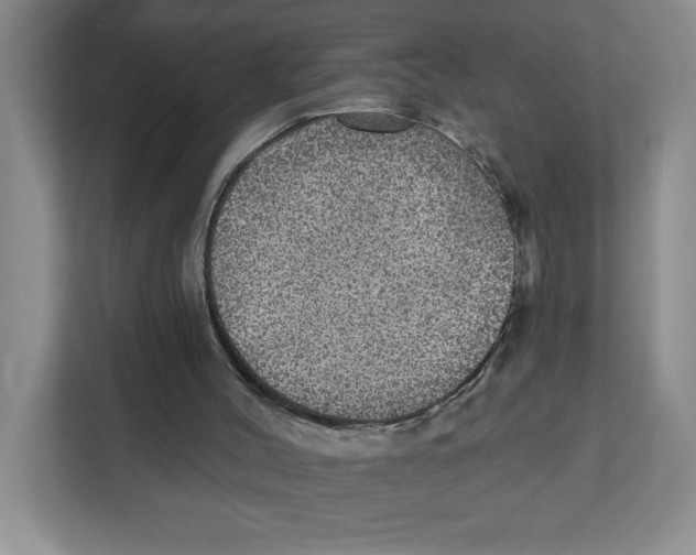 X0000112350004200909101052