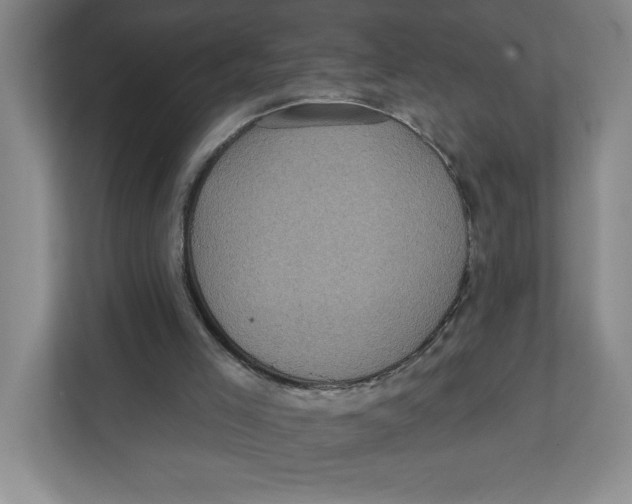 X0000112350005200909101052