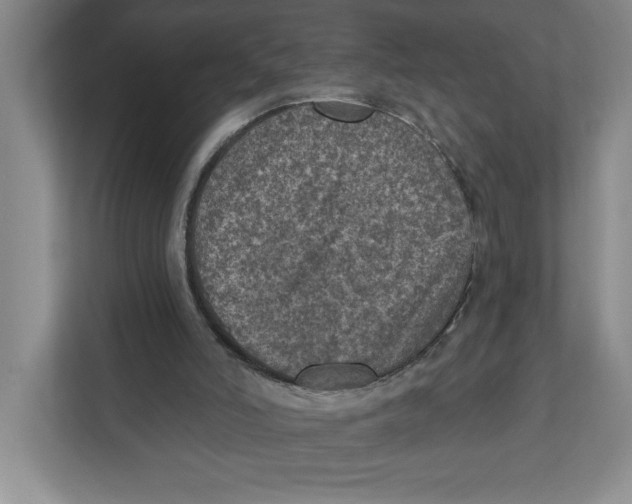 X0000112350006200909101052