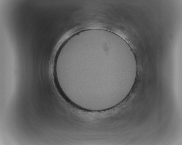 X0000112350007200909101052