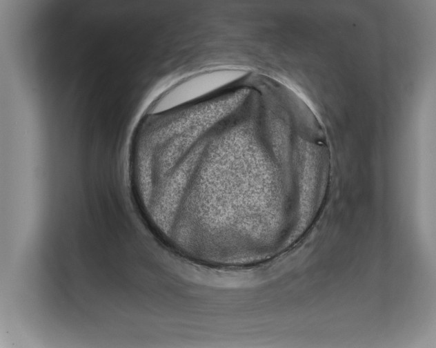 X0000112350008200909101052