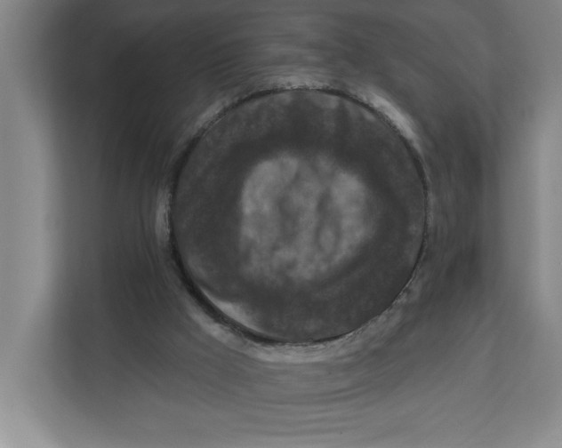 X0000112350009200909101052