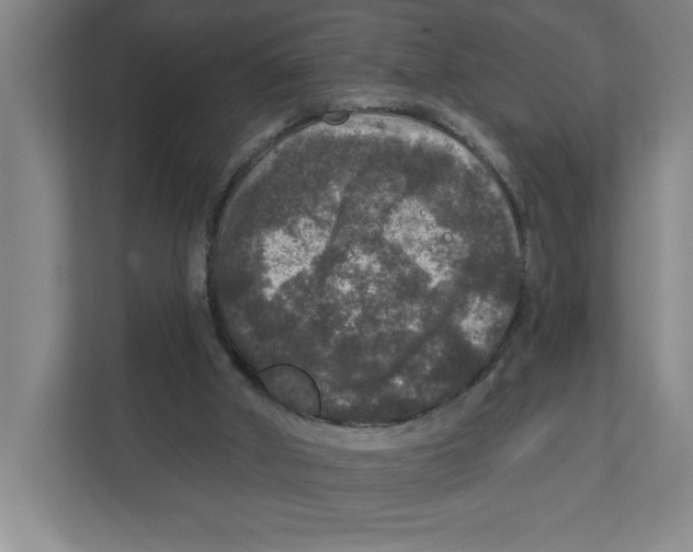 X0000112350010200909101052