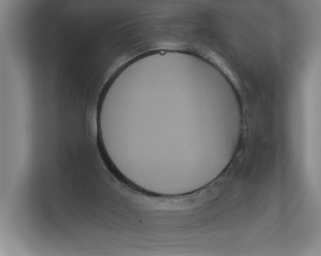 X0000112350011200909101052