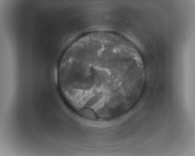 X0000112350014200909101052