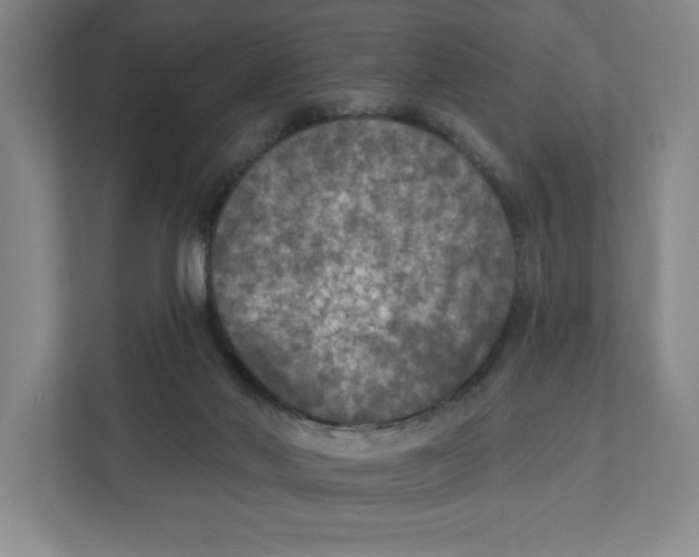 X0000112350022200909101052