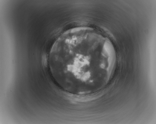 X0000112350026200909101052