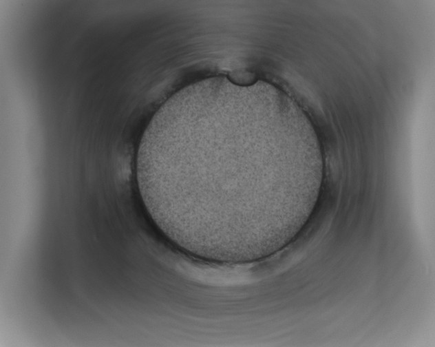 X0000112350032200909101052