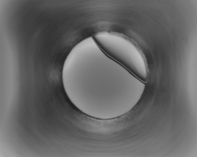 X0000112350035200909101052