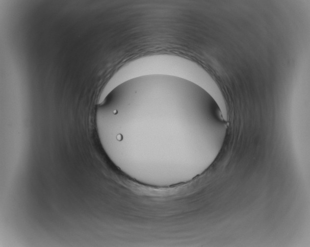 X0000112350039200909101052