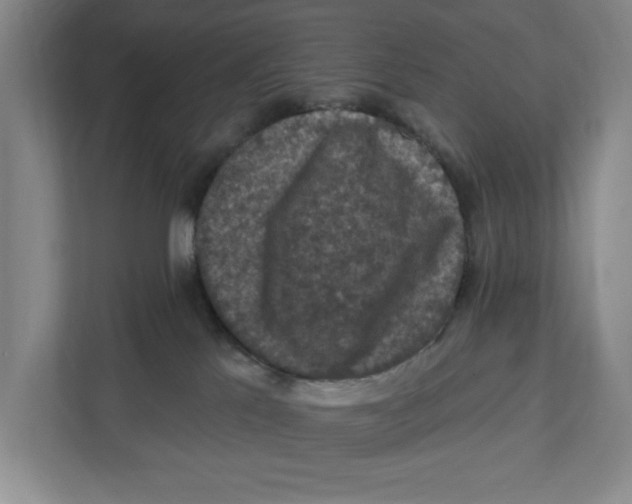 X0000112350041200909101052