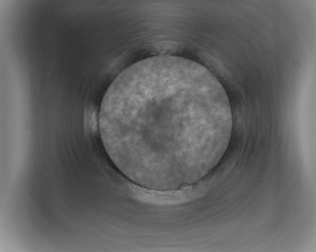 X0000112350042200909101052