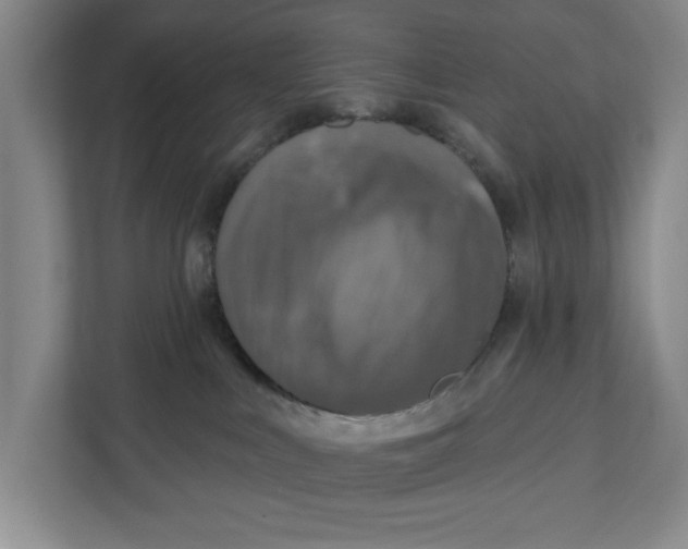 X0000112350043200909101052