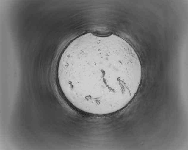 X0000112350049200909101051