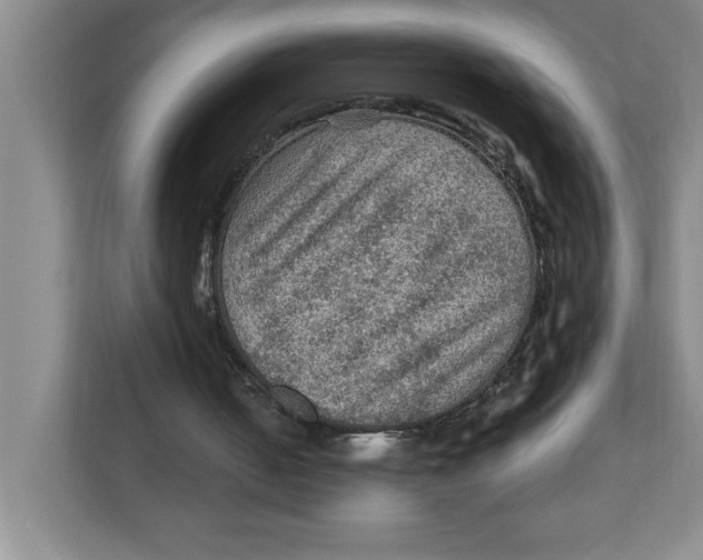 X0000112350050200909101051