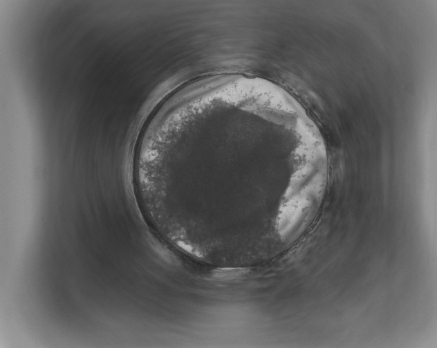 X0000112350051200909101051