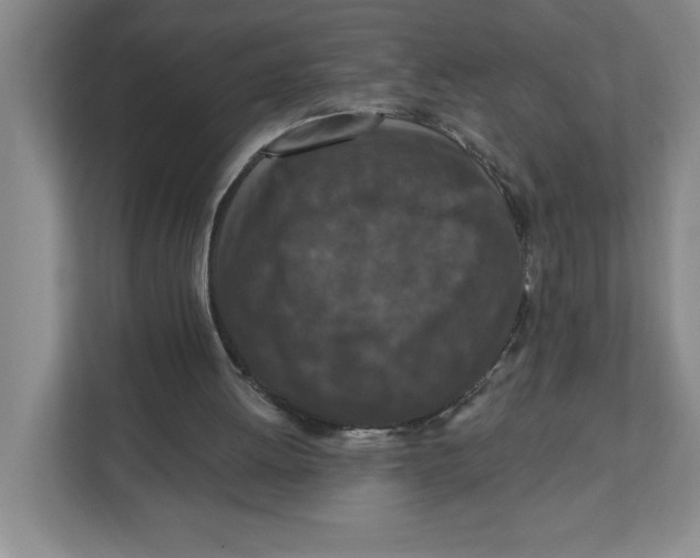 X0000112350052200909101051