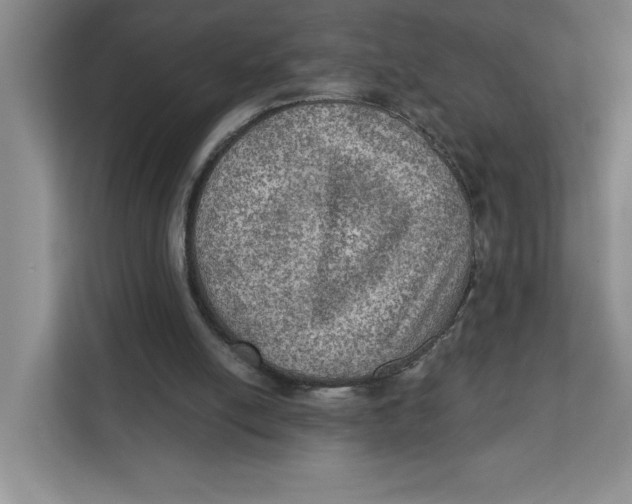 X0000112350054200909101051